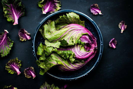 A bowl of lettuce leaves on a dark backdrop with hints of green and purple