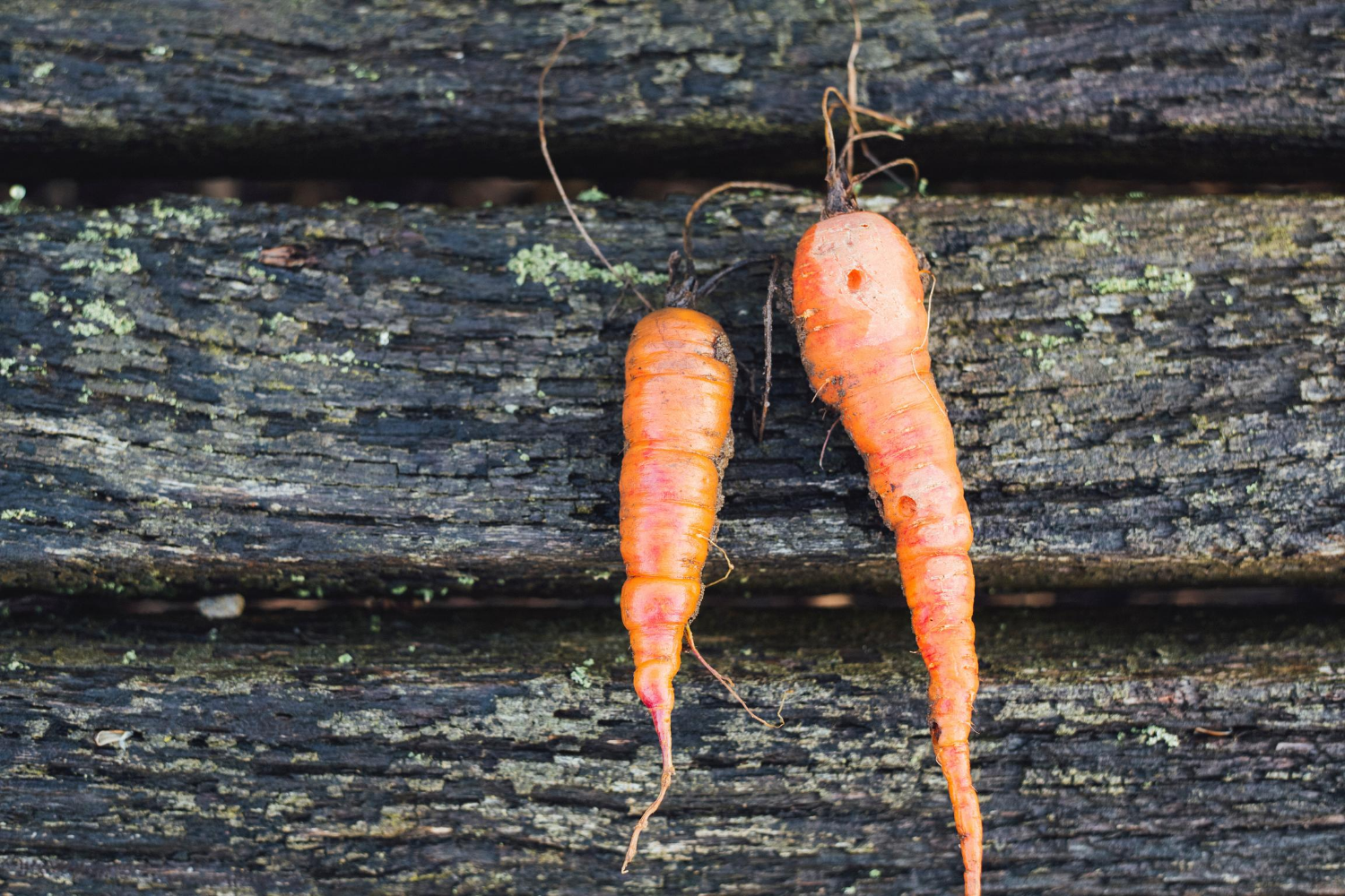 Perfectly Imperfect Produce – Mother Raw